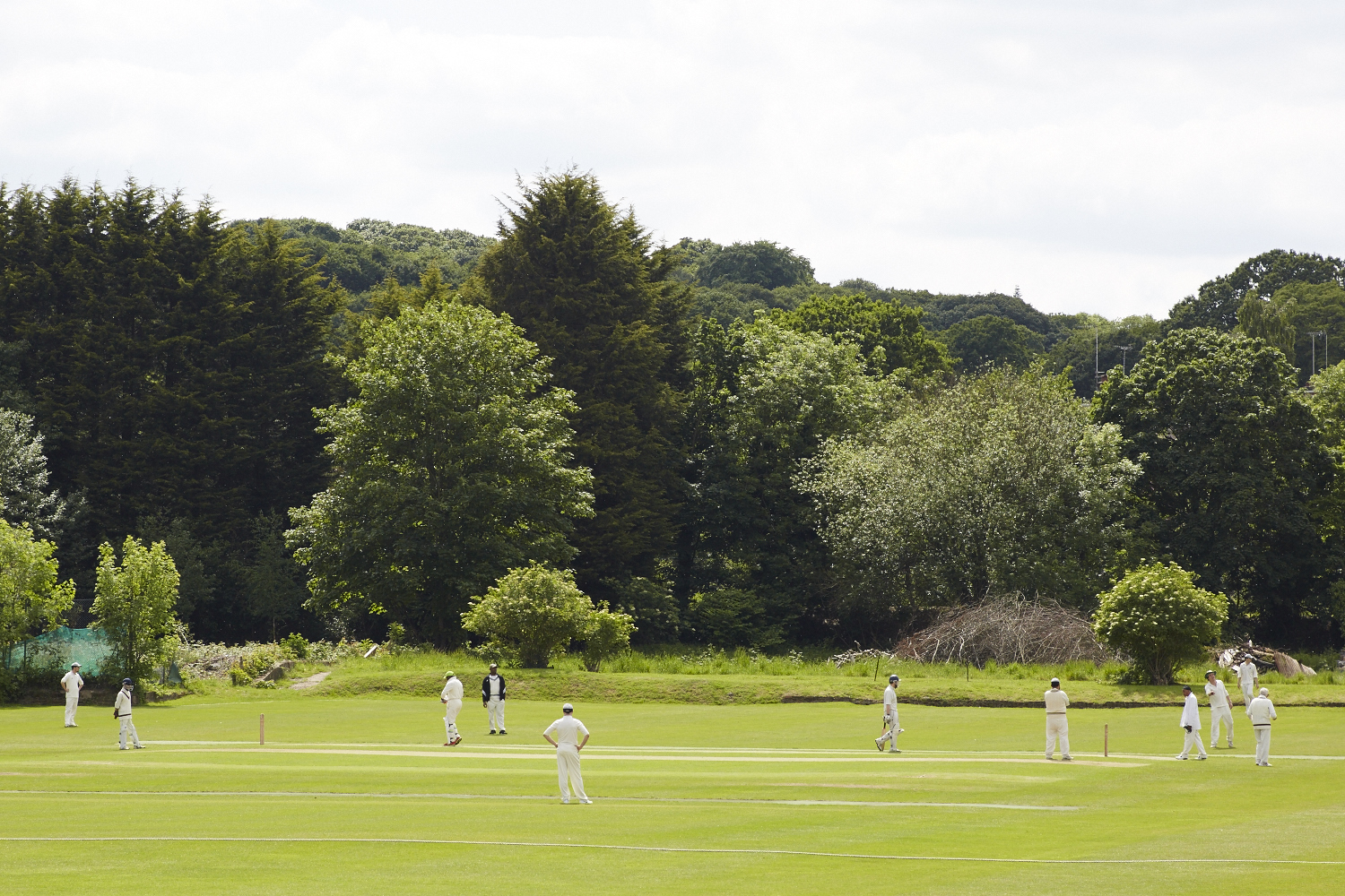 (Pic: North Mid in a pastoral mood)